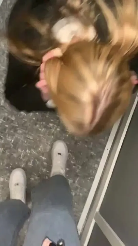 playwithanny - lesbian licks shoes in the elevator public