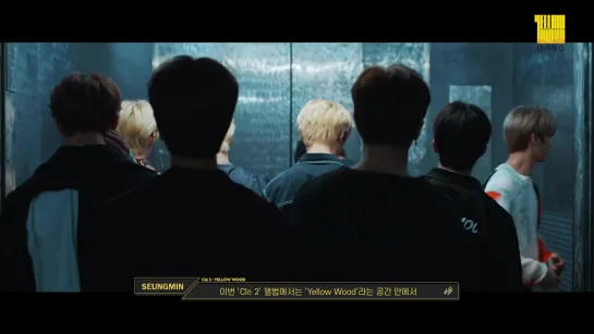 [190613] Stray Kids » INTRO "Clé 2 : Yellow Wood"