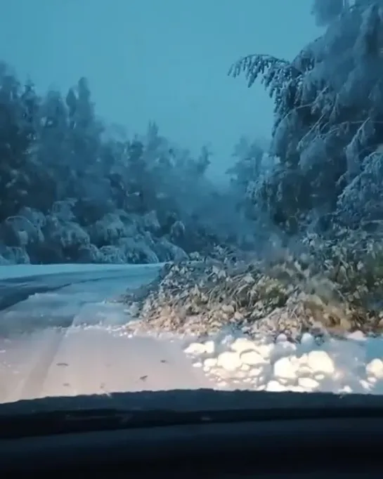 Первый снег пришел в Петербург и Ленобласть.... 2023@