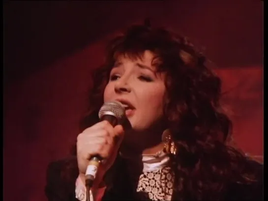 Kate Bush  David Gilmour - Running Up That Hill - Live Amnesty International - 1987