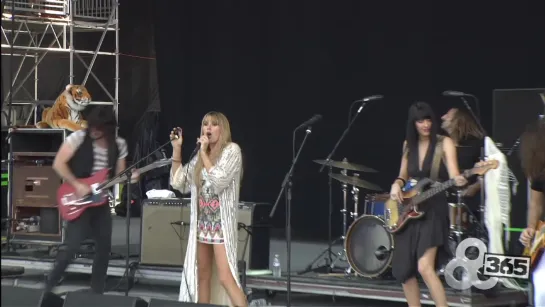 Grace Potter  The Nocturnals - Medicine - Bonnaroo 2011 (Official Video) Bonnaroo365