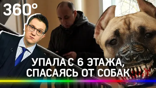 На вписке школьница упала с 6 этажа, спасаясь от двух стаффордширских терьеров — девочка погибла