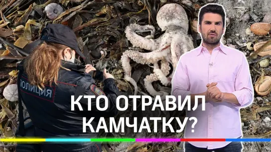 Кто отравил Камчатку: военные полигоны, танкеры с ядом или токсичные водоросли?