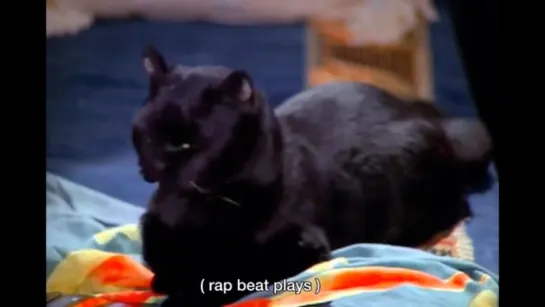 DJ Salem Saberhagen (Сабрина - маленькая ведьма)