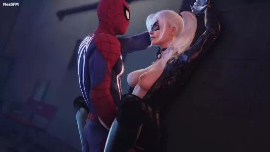 Spider-Man x Cat Woman