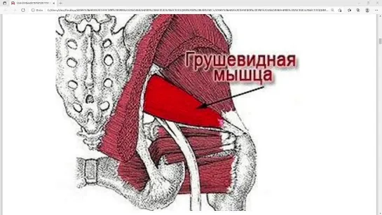 Работа с грушевидными мышцами