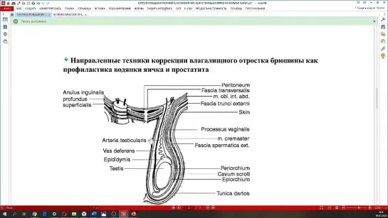 Функциональная коррекция влагалищного отростка брюшины