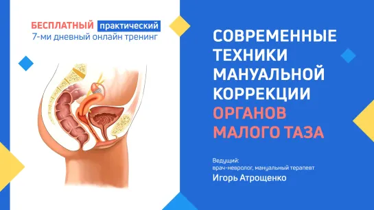 Занятие № 1 - СОВРЕМЕННЫЕ ТЕХНИКИ МАНУАЛЬНОЙ КОРРЕКЦИИ ОРГАНОВ МАЛОГО ТАЗА