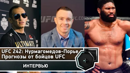 Хабиб-Порье: Прогнозы бойцов UFC на главный бой UFC 242 | FightSpace