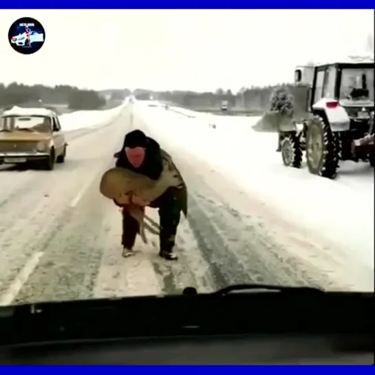 Устала бедная по снегу лазить. Мужик, уважение