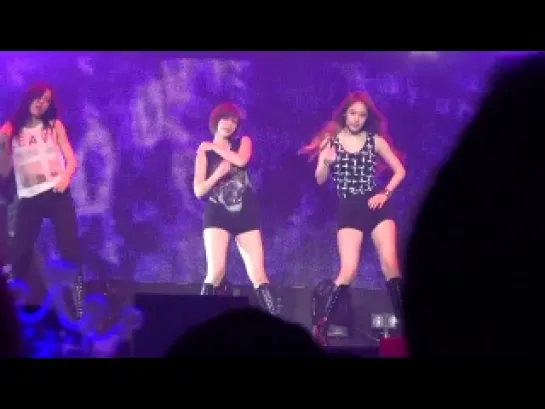 [FanCam] T-ARA Dangerous Love at Japan Tour 2013