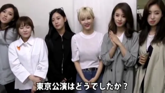 “1day T-ARA” from Special Fan Meeting in Japan