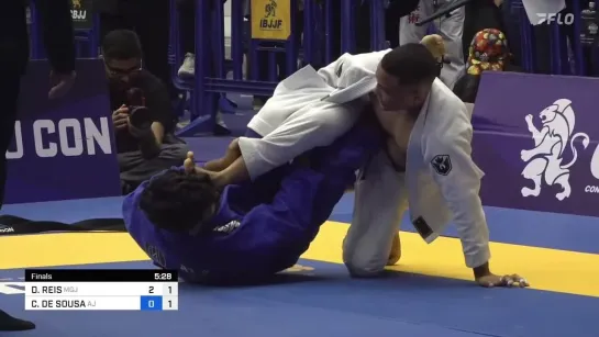 fin Light-Feather - Diogo Reis vs Cleber Fernandes #IBJJFBRASILEIRO2023