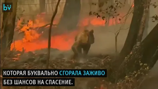 Пока есть такие люди, в этом мире ещё не всё потеряно.