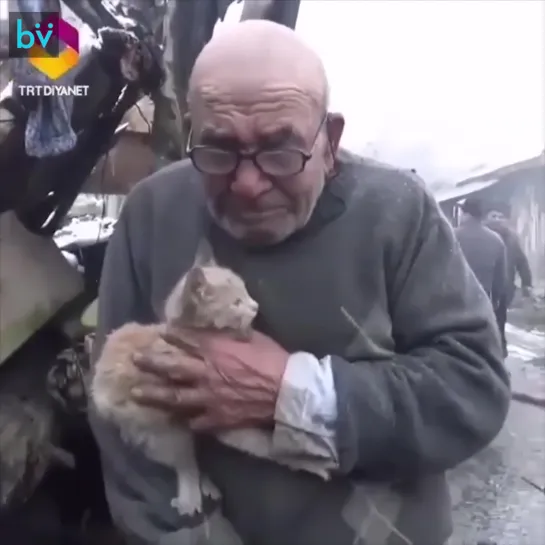 Очень трогательно