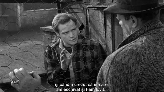 On the Waterfront [1954]