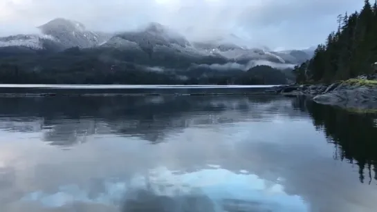 My random video diary - A little calm for your day.Nootka Sound B.C. (The Pacific: In the Wake of Captain Cook with Sam Neill)