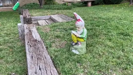 THE KNOWLEDGE OF THE GNOME