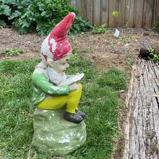 GNOME GNO GNO