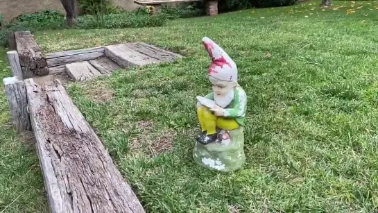 GNOME CONVERSATIONS