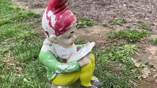 This garden GNOME