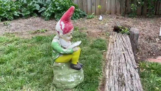 GNOME WISDOM