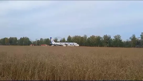 Airbus-A320 «Уральских авиалиний», летевший из Сочи в Омск