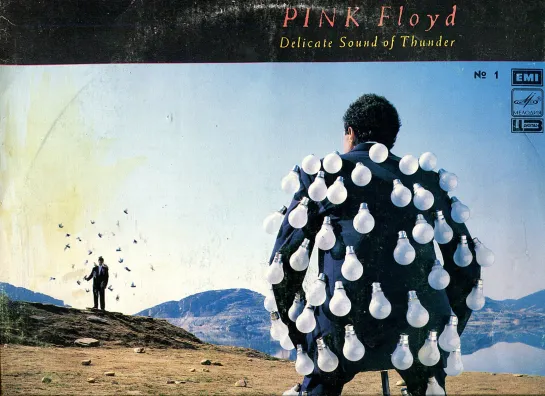 Pink Floyd - Delicate Sound of Thunder (1988)