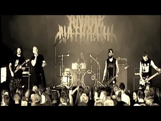 Anaal Nathrakh — Live at Roskilde 2013 (FULL CONCERT)