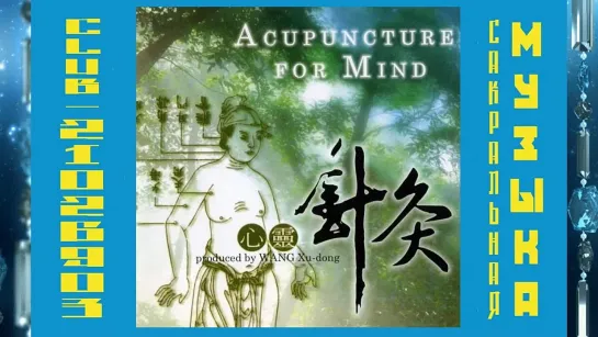 Wang  Xu-dong - Acupuncture for Mind