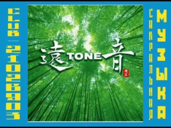 V.A. - TONE 2007