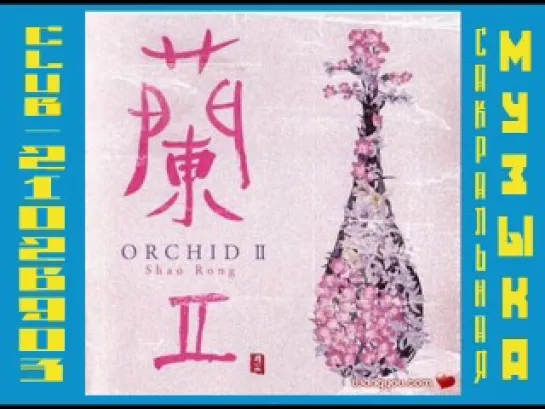 SHAO RONG - ORCHID II 2002