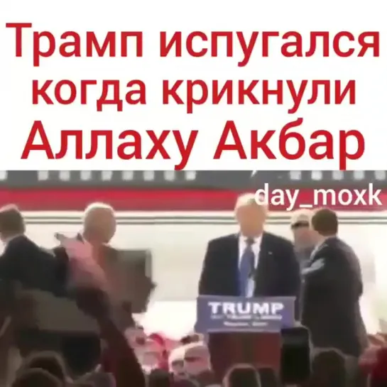 Трамп Юмор Испуг