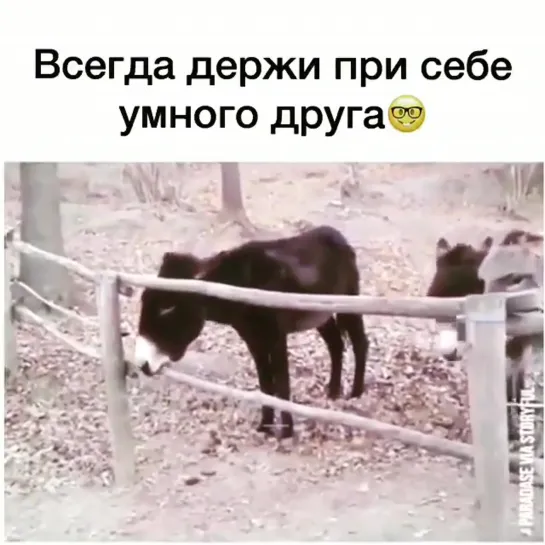 Да он человеком был