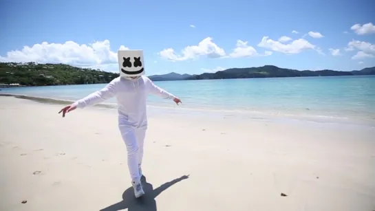 Marshmello gets attacked by a Koala in Australia