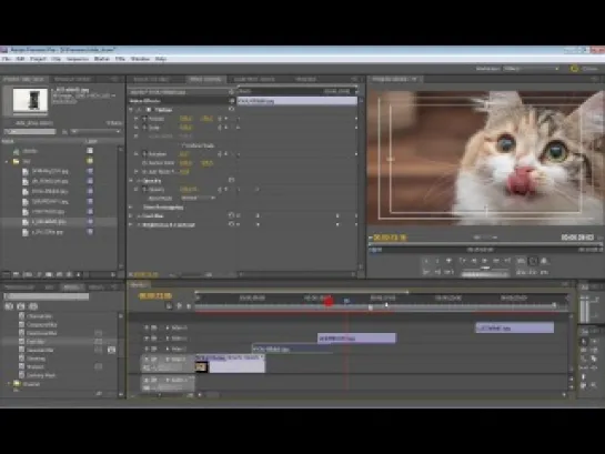 1 Практический урок по созданию слайд-шоу в программе Adobe Premiere Pro CS5.5