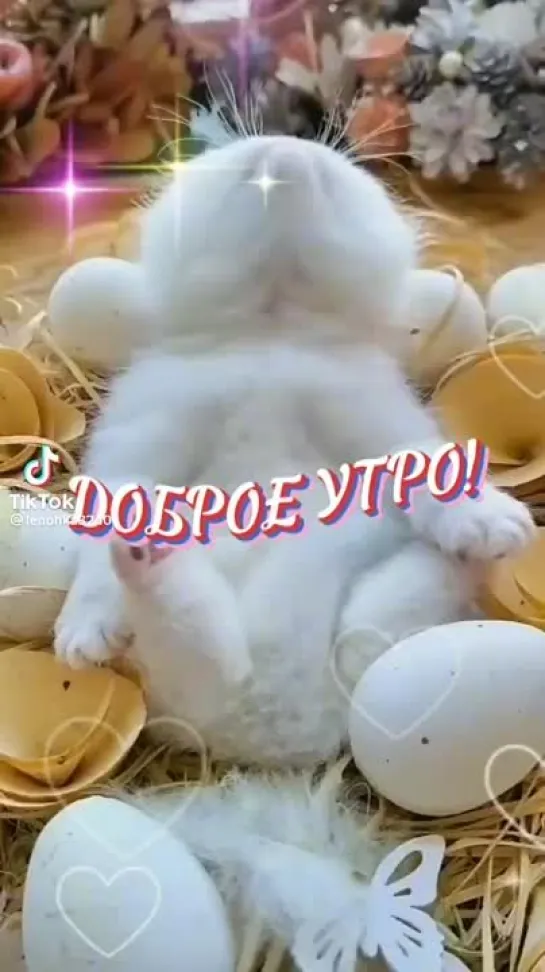 Доброе утро