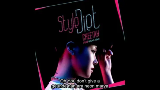 CHEETAH – Style Diet (Feat. Kang Nam) karaoke