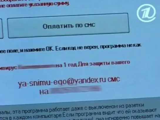 Женский Журнал, Интернет-мошенники(11.01.2011)