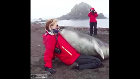 Самое душевное видео!!!!