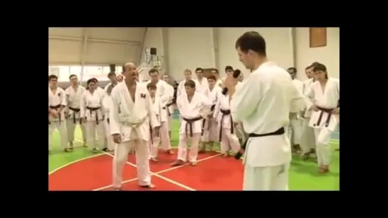 Karate Seiji Nishimura. Seminar in Moscow 2008 (5/6)