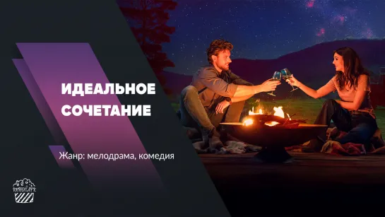 Идеальное сочетание (2022)