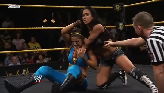 AJ Lee vs Bayley (WWE Diva's title)