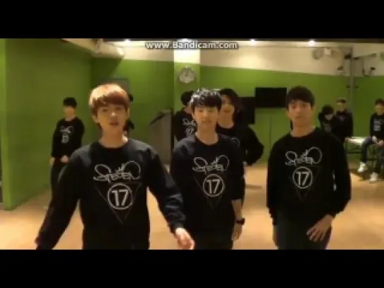 131008 SEVENTEEENTV - Walking Like Models