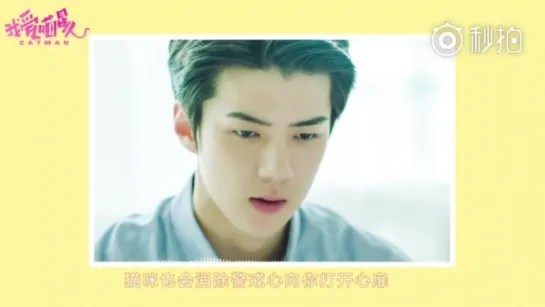 180916 EXO's Sehun @ Catman