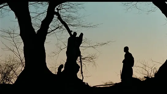 Why Has Bodhi-Dharma Left for the East?: A Zen Fable / Dharmaga tongjoguro kan kkadalgun (1989) dir. Yong-Kyun Bae