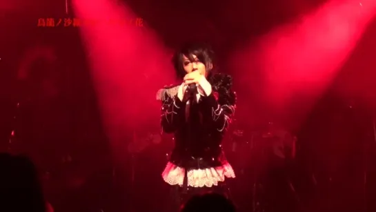 [jrokku] MeteoroiD - 2015.11.11, комментарий для VISUNAVI