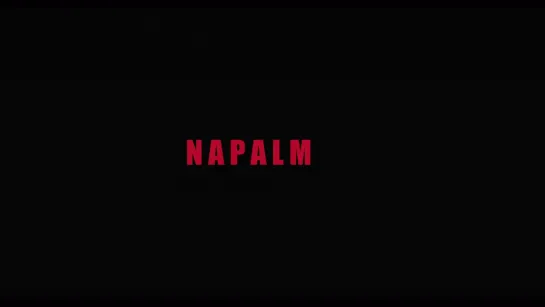 Napalm (2017) dir. Claude Lanzmann