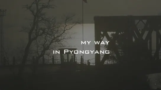 My Way in Pyongyang (2014) dir. Rob Niemantsverdriet