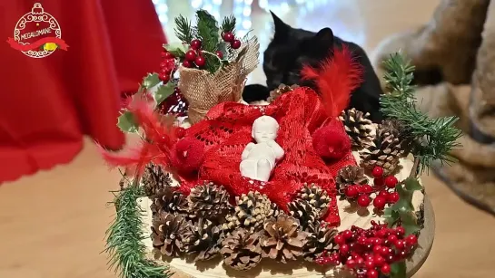 10 tipi di gatti a Natale